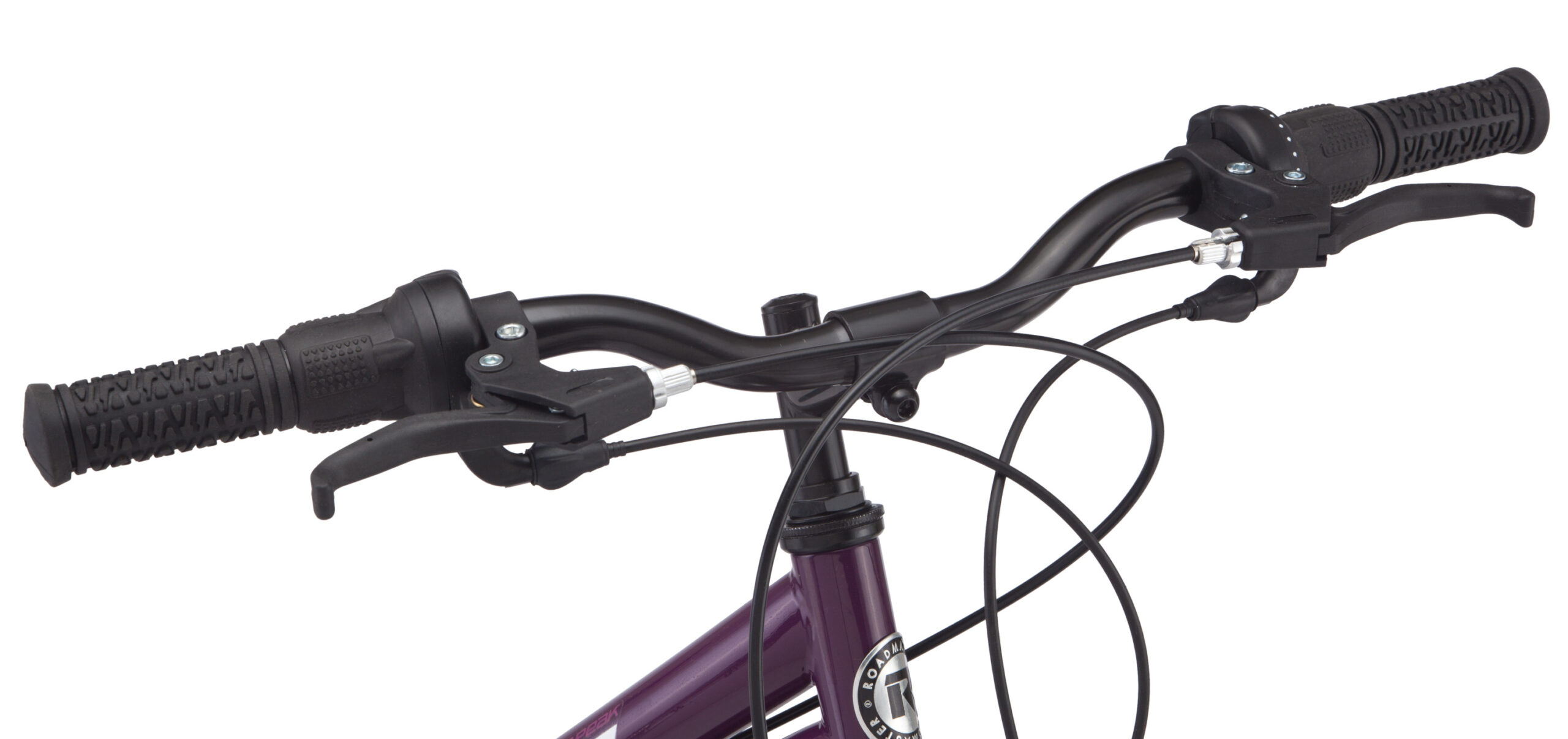 Women's roadmaster bike hot sale