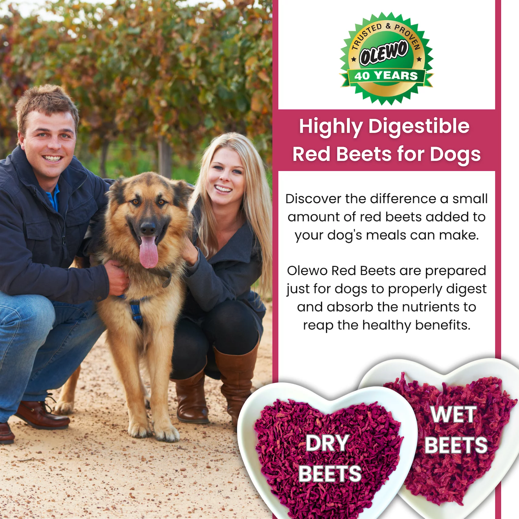 Dehydrated beets for discount dogs